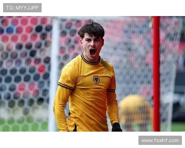 伊普斯维奇在英超转会窗表现突出，引援策略显示竞争力增强