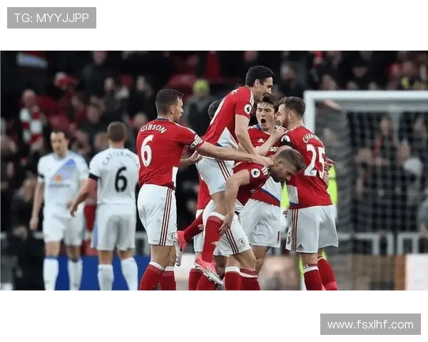 斯托克城主帅近期战绩不佳面临下课压力