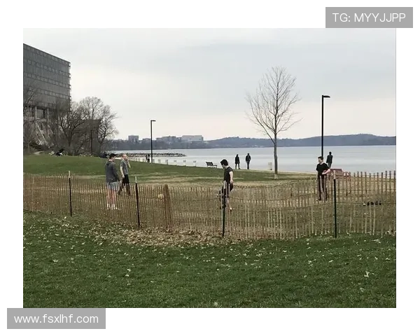 麦迪逊:从10号位到自由核心的角色演变分析