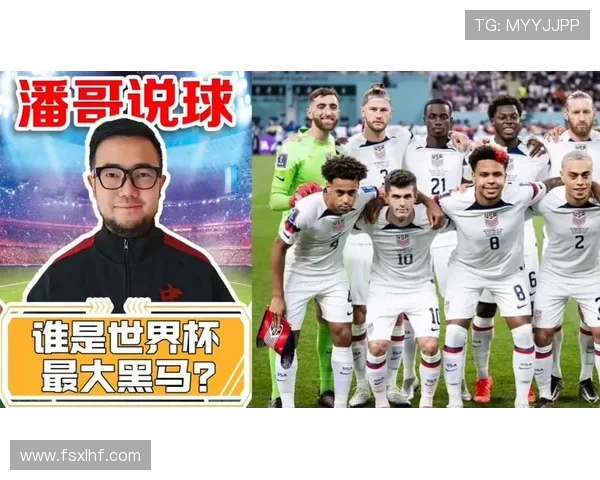 世界杯美国队D组能否成为本届世界杯黑马